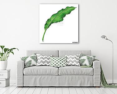 Watercolor painting green leaves isolated on white background.Wa (vászonkép) - vászonkép, falikép otthonra és irodába