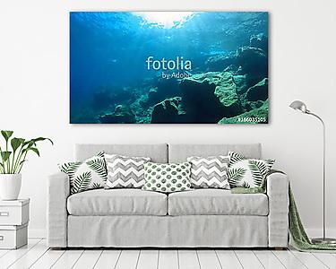 natural underwater background  (vászonkép) - vászonkép, falikép otthonra és irodába