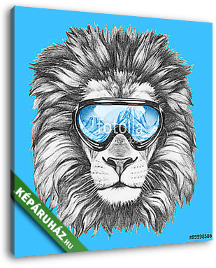 Portrait of Lion with ski goggles. Hand drawn illustration. - vászonkép 3D látványterv
