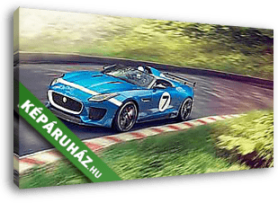 Jaguar F Type Racing - vászonkép 3D látványterv