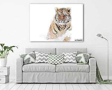 Szibériai tigris (vászonkép) - vászonkép, falikép otthonra és irodába