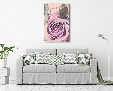 Fresh pink roses macro shot, summer flowers, vintage style (vászonkép) - vászonkép, falikép otthonra és irodába