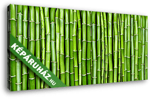 bambusz - vászonkép 3D látványterv