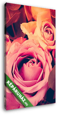 Fresh pink roses macro shot, summer flowers, vintage style - vászonkép 3D látványterv