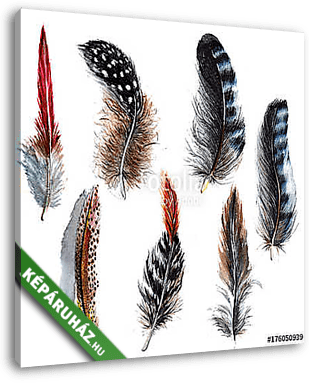 Watercolor bird feather from wing isolated. Aquarelle feather fo - vászonkép 3D látványterv