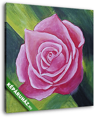Pink rózsa festmény - vászonkép 3D látványterv