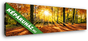 Arany őszi hangulat az erdőben  - vászonkép 3D látványterv