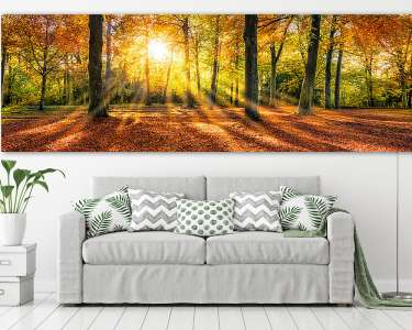 Arany őszi hangulat az erdőben  (vászonkép) - vászonkép, falikép otthonra és irodába