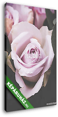 Fresh pink roses macro shot, summer flowers, vintage style - vászonkép 3D látványterv