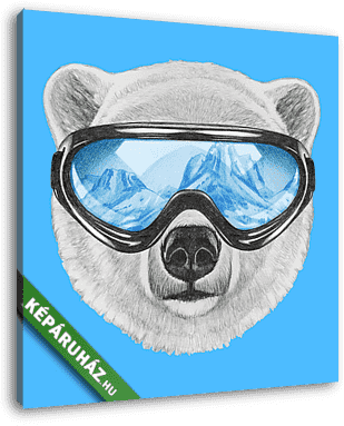 Portrait of Polar Bear with ski goggles. Hand drawn illustration - vászonkép 3D látványterv
