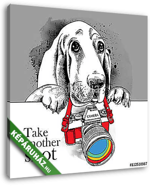 The poster with the image of the dog with the camera. Vector ill - vászonkép 3D látványterv