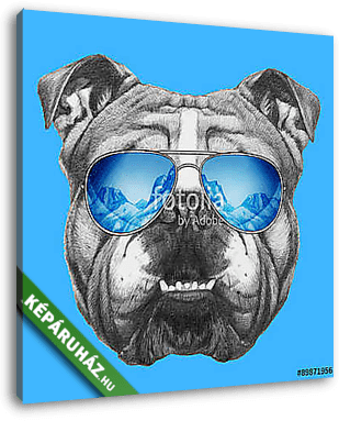 Portrait of English Bulldog mirror sunglasses. Hand drawn illust - vászonkép 3D látványterv