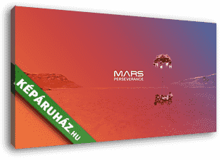 Perseverance Mars Rover Landolás (Gradient Illustration) - vászonkép 3D látványterv