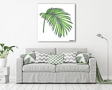 Watercolor painting coconut,palm leaf,green leave isolated on wh (vászonkép) - vászonkép, falikép otthonra és irodába