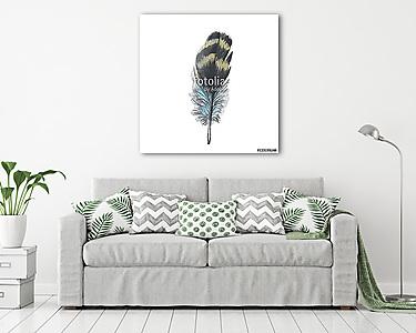 Watercolor bird feather from wing isolated. Aquarelle wild flowe (vászonkép) - vászonkép, falikép otthonra és irodába