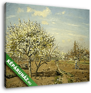 Gyümölcsöskert - vászonkép 3D látványterv
