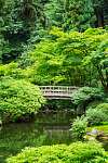 Gyönyörű japán kert vászonkép, poszter vagy falikép