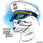 Portrait of a cat in sailor's cap on blue background. Vector ill vászonkép, poszter vagy falikép