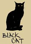 Fekete macska vászonkép, poszter vagy falikép