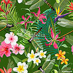 Trópusi virágos zökkenőmentes minta sárkányfarkával. Természet B vászonkép, poszter vagy falikép