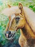 Haflingi ló (akvarell) vászonkép, poszter vagy falikép
