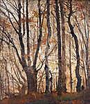 Őszi erdő (színverzió 1) vászonkép, poszter vagy falikép