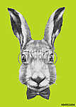 Original drawing of Rabbit with glasses and bow tie. Isolated on vászonkép, poszter vagy falikép