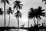 Silhouettes of palm trees on a tropical beach, black and white p vászonkép, poszter vagy falikép