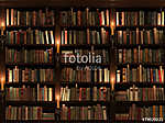 Bookshelf. Seamless texture (vertically and horizontally) vászonkép, poszter vagy falikép