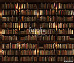 Bookshelf. Seamless texture (vertically and horizontally) vászonkép, poszter vagy falikép