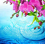 lila orchidea hullámos kék vízzel - frissesség fogalmát vászonkép, poszter vagy falikép