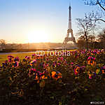 virágok az Eiffel-torony közelében, Párizs, Franciaország vászonkép, poszter vagy falikép