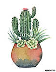 Watercolor composition of cacti and succulents in a pot isolated vászonkép, poszter vagy falikép