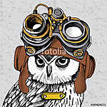 Owl portrait in a Steampunk helmet. Vector illustration. vászonkép, poszter vagy falikép