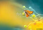 Narancsszínű lepke egy díszes hullámos növényen egy sárga és tür vászonkép, poszter vagy falikép