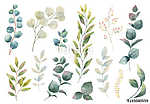 Hand drawn vector watercolor set of herbs, wildflowers and spice vászonkép, poszter vagy falikép
