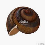Snail Shell on white. 3D illustration vászonkép, poszter vagy falikép