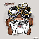 The image of the bulldog portrait in the Steampunk helmet. Vecto vászonkép, poszter vagy falikép