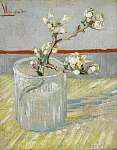 Virágzó mandulafa ág egy pohárban vászonkép, poszter vagy falikép