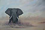 Elefánt a szavannán vászonkép, poszter vagy falikép