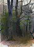 Kora tavaszi erdő (színverzió 1) vászonkép, poszter vagy falikép