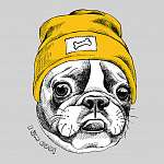 Portrait of French bulldog in a yellow Hipster hat. Vector illus vászonkép, poszter vagy falikép
