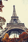 Párizsban. Szép kilátás az Eiffel-toronyra ősszel vászonkép, poszter vagy falikép