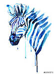 zebra vászonkép, poszter vagy falikép