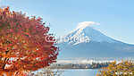 Mount fuji és vörös juharfa ősszel a kawaguchiko tó japa vászonkép, poszter vagy falikép