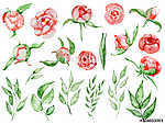 Watercolor red peonies flowers and leaves set Hand drawn illustr vászonkép, poszter vagy falikép