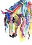 Horse head. Color watercolor illustration. Hand drawn vászonkép, poszter vagy falikép
