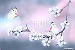 Butterflies fluttering over a branch of blossoming cherry in spr vászonkép, poszter vagy falikép