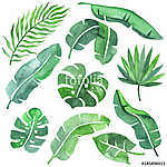 Tropical leaves set vászonkép, poszter vagy falikép