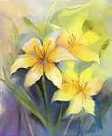 Az akvarell festése sárga liliomvirág vászonkép, poszter vagy falikép